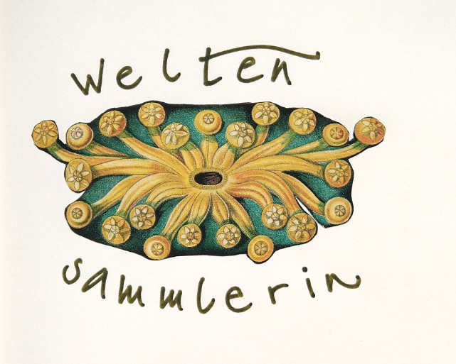 Alternativer Bildtex