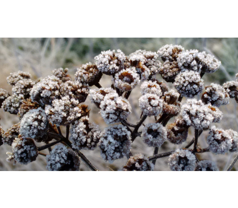 Übergangsmelancholie